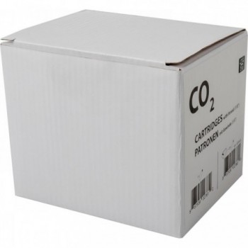 Cartucce CO2 25g in Ottone Zincato con Filettatura - Set da 2 Pezzi - 2 - Bombolette e dosatori co2 - 0887539027612