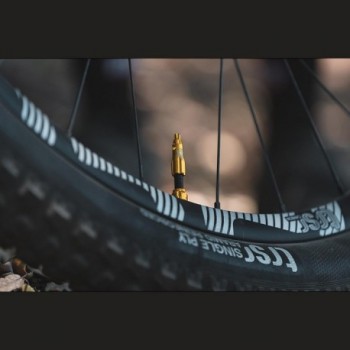 Lezyne CNC 44mm Tubeless Ventil mit Kernentferner, Schwarz - 3