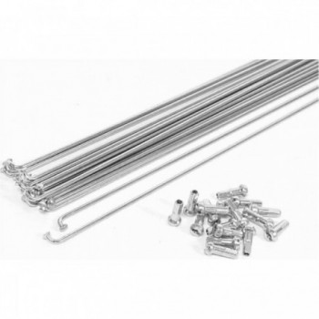 Radios de Acero Galvanizado 264x2 mm con Nipples Plata - Set 10 Piezas - 1