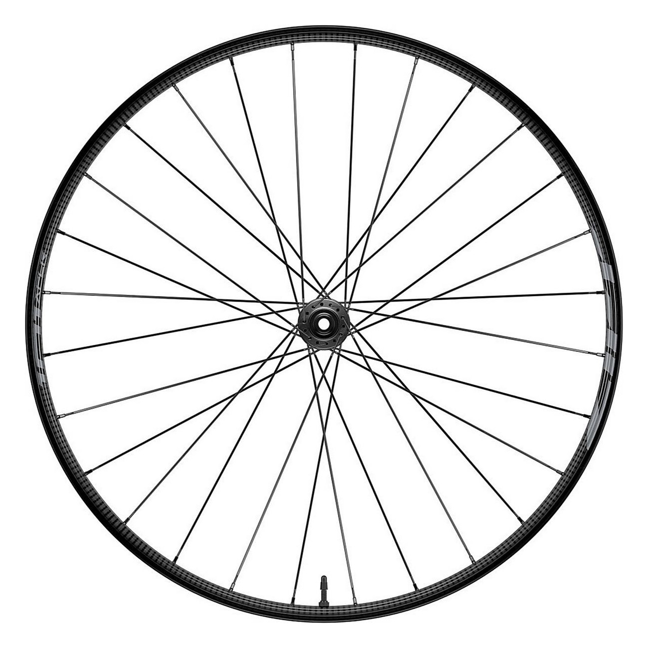 Vorderrad Tubeless Zipp 101 XPLR Disc 650b Schwarz für Gravel - 1