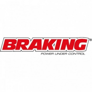 Pareja de Pistones para Pinza Incas 2.0 Compatibles con Braking - 1