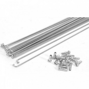 Galvanized Steel Spokes 304x2mm with Silver Nipples - Pack of 10 Pieces - 1