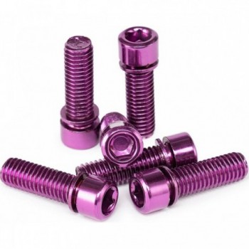 Set of Salt Solid Purple Screws - 6 Pieces M8x25mm - 1