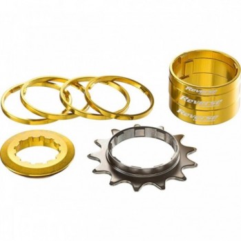 Kit di Conversione a Velocità Singola 13T Oro - Reverse HG con Flangia Ampia e Accessori Inclusi - 1 - Altro - 4717480157204