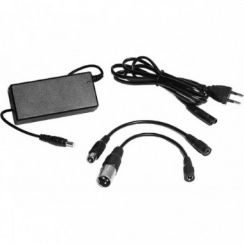 36V Lithium Charger with LED and 3 Pin XLR Cables for Safe Charging - 1