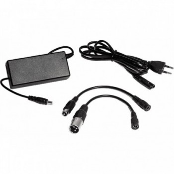 36V Lithium Charger with LED and 3 Pin XLR Cables for Safe Charging - 2