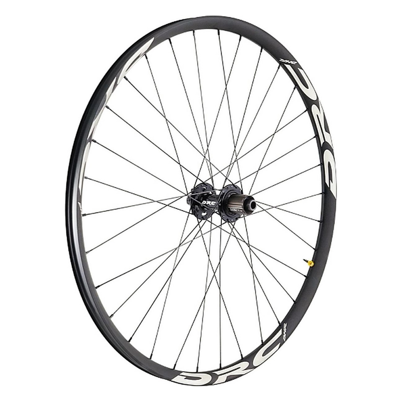 Roues Arrière DH-R 29' pour Downhill et Enduro, Corps Microspline 12v Acier - 1