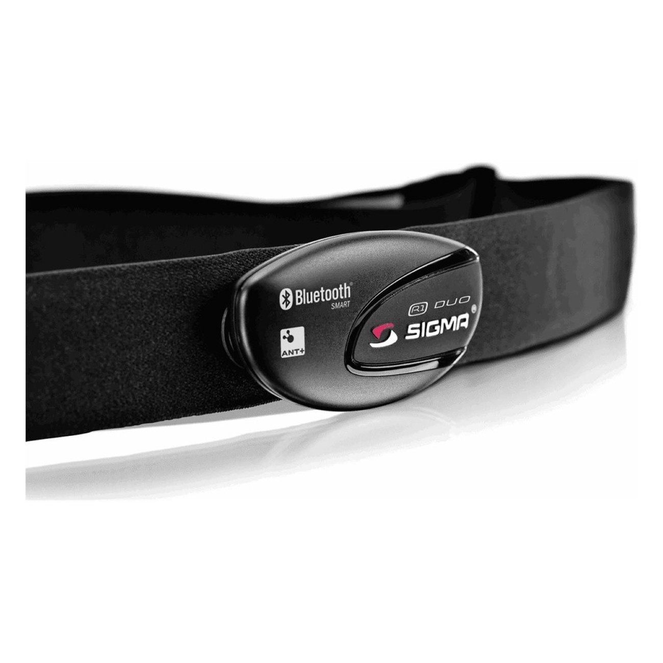 Ceinture Cardio Sigma R1 ANT+/Bluetooth Compatible avec Rox 11 et 4.0 - Noir - 1