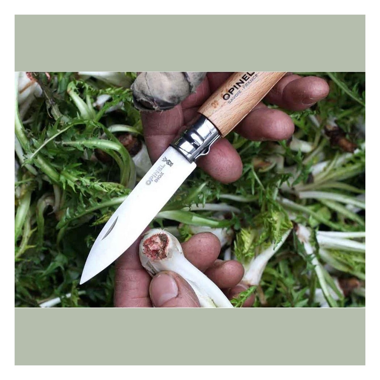 Coltello da Giardino Opinel N.8 con Lama in Acciaio Inox e Manico in Faggio Ergonomico - 5 - Coltelli - 3123841330802