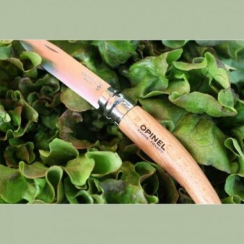 Coltello da Giardino Opinel N.8 con Lama in Acciaio Inox e Manico in Faggio Ergonomico - 6 - Coltelli - 3123841330802