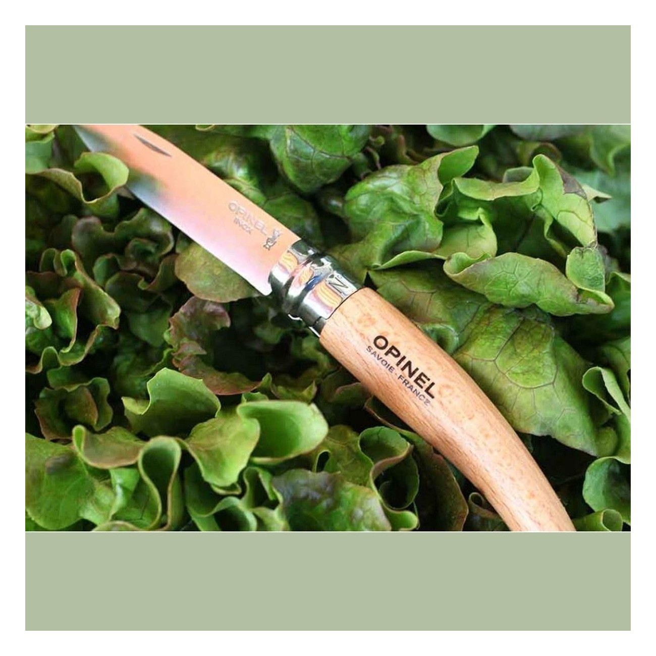 Coltello da Giardino Opinel N.8 con Lama in Acciaio Inox e Manico in Faggio Ergonomico - 6 - Coltelli - 3123841330802