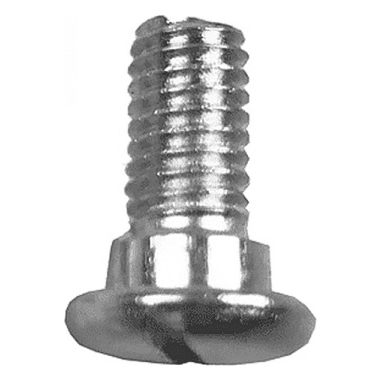 Wide Head Screws 6 mm - Erre Fasteners for Secure and Reliable Fixings - 1