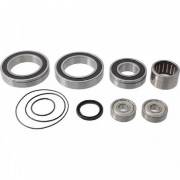 Yamaha PW and Giant SyncDrive Sport Motor Bearing and Seal Kit - PW-SE, PW-ST, PW-TE, PW-CE - 1