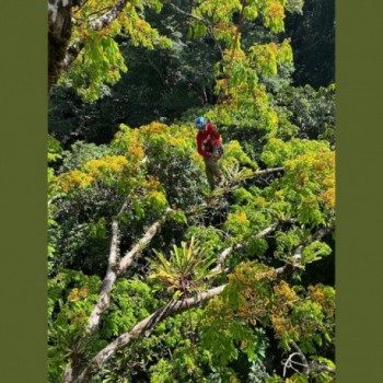 Porta Attrezzi Sicuro e Durevole Treemagineers Vault - Rosso/Argento, 63 g, Certificato Tech-Cert-Not-PPE, Ideale per Attrezzatu