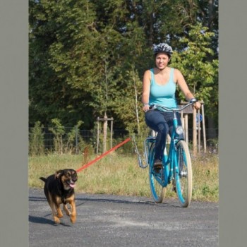 Hunde-Leitstange M-Wave Schwarz mit 92 cm Leine für Fahrrad - 3