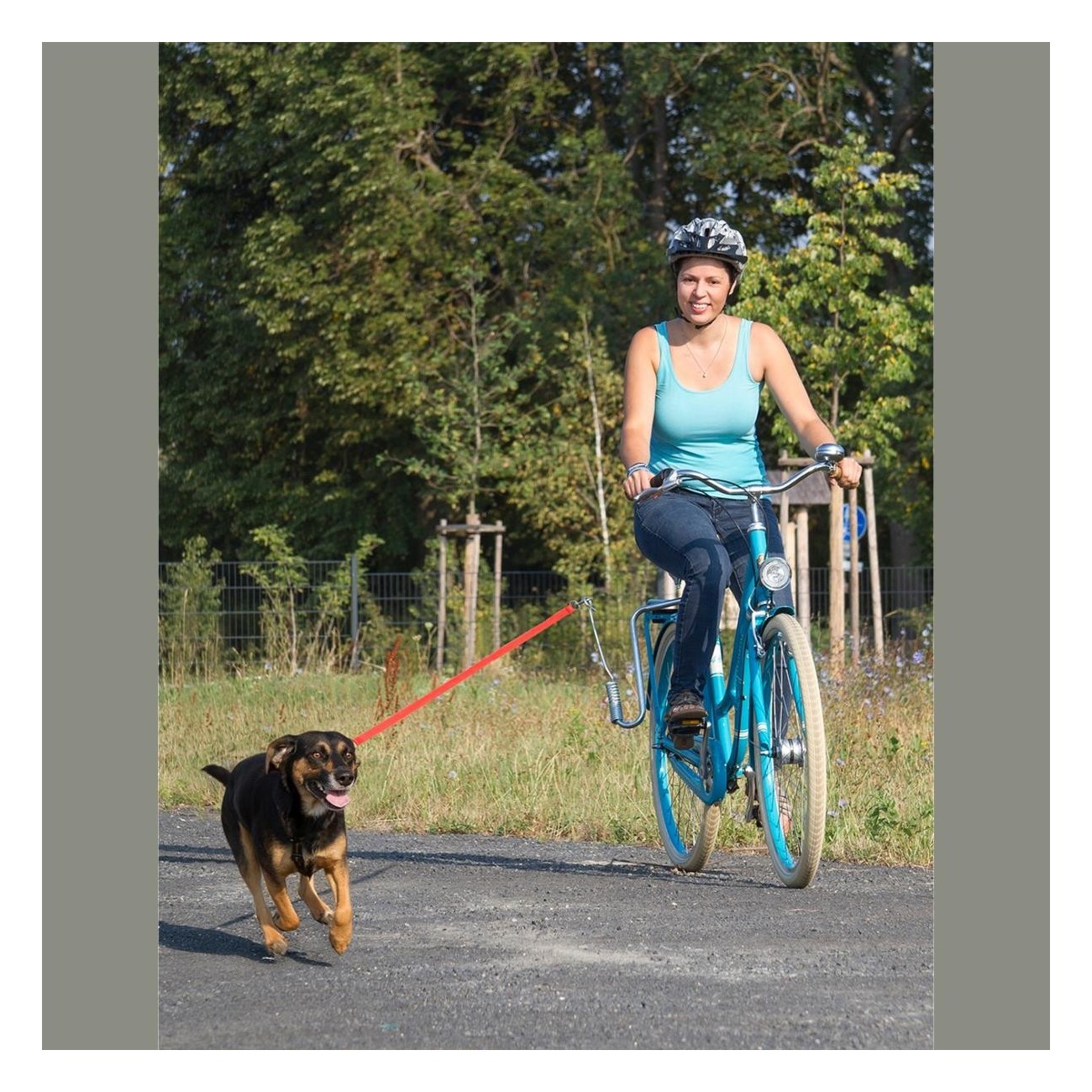 M-Wave Black Dog Guide Bar with 92 cm Leash for Bicycle - 3