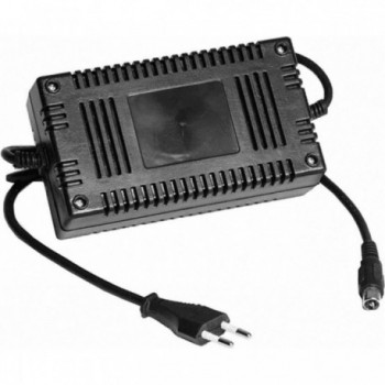 36V Automatic Charger for AGM and Gel Lead Acid Batteries with LED 2A - 1