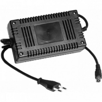 Cargador Automático 36V para Baterías de Plomo AGM y Gel con LED 2A - 2