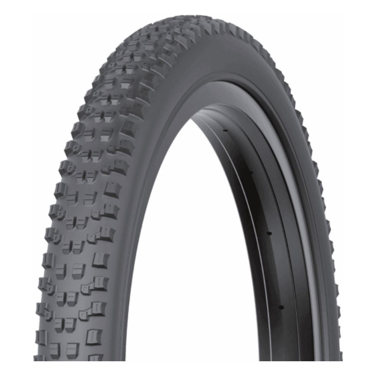 Nevegal 2 MTB Tire 29x2.40 Tubeless Ready, 60 TPI, Foldable, E-Bike Certified - 1