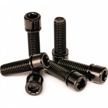 Set of Black Salt Solid Screws - 6 Pieces M8x25mm - 1