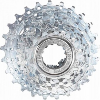 Cassette Campagnolo 10v 12-25 Dents Argent pour Vélo de Route - 305g - 1