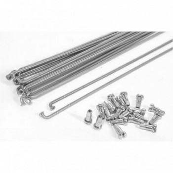 Rayos de Acero Galvanizado 130x2.5mm con Nipples Plateados para Bicicletas - 1