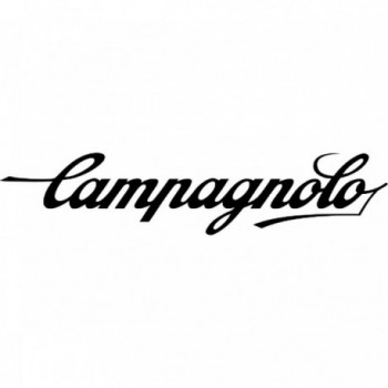 Campagnolo Super Record Wireless 48 Zähne, BCD 121mm, 4-Loch, 2x12v, Schwarz - 1