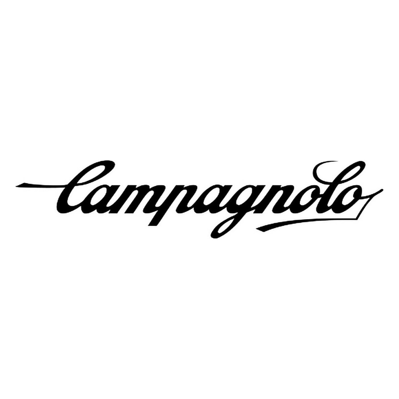 Campagnolo Super Record Wireless 48 Zähne, BCD 121mm, 4-Loch, 2x12v, Schwarz - 1