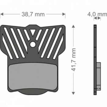 Plaquettes de frein Lightech pour Magura MT2-8 et Campagnolo Road Disk - 1