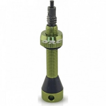 Valve Tubeless 40mm Verte en Aluminium Ergal Anodisé avec Double Joint - 1