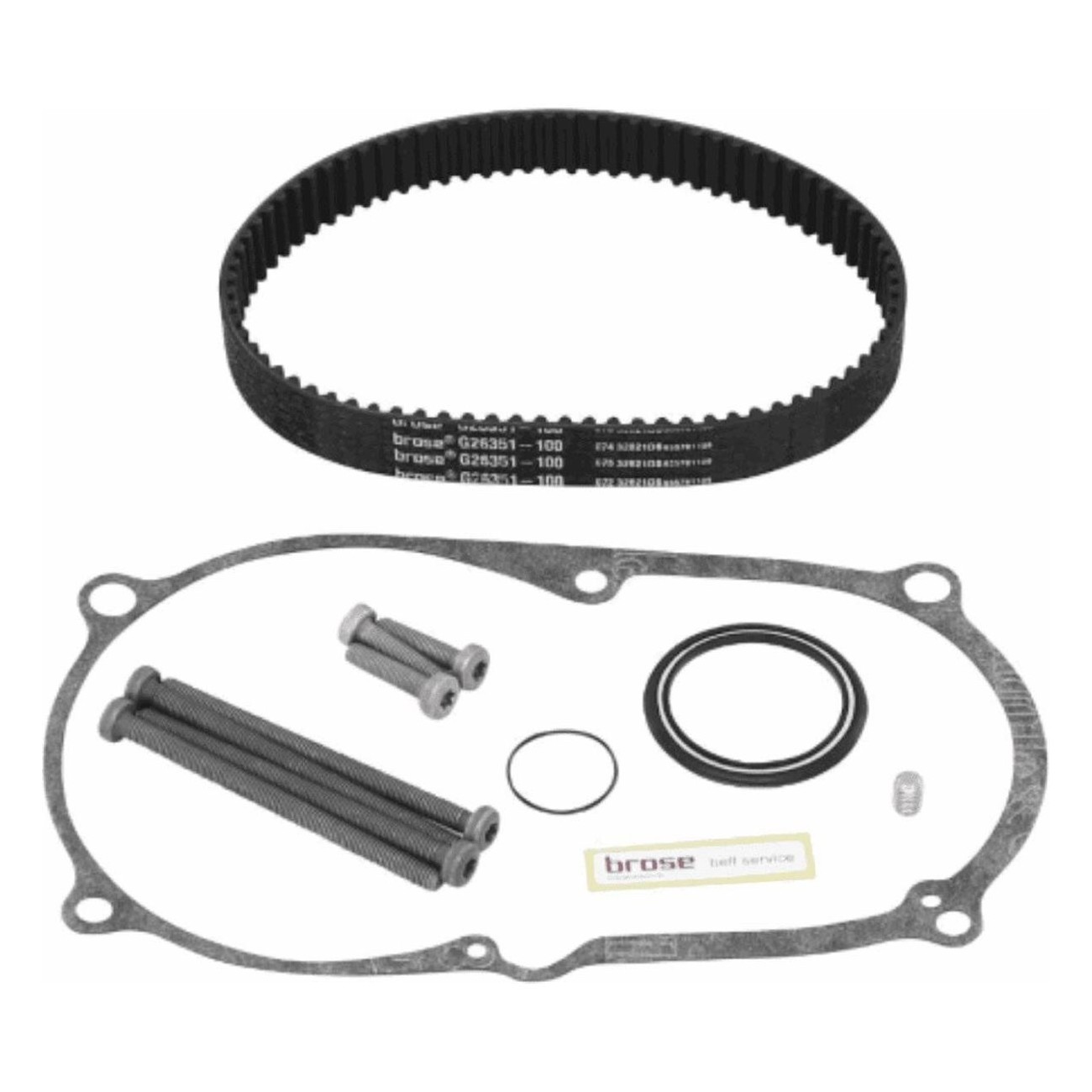 Kit de Réparation Moteur Brose 2ème Génération - Code 79603 - 1