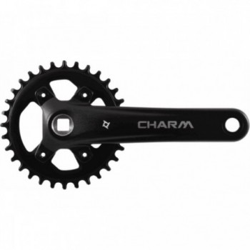 MTB Crankset 32T 170mm 10v in Aluminum and Steel, Black Color - 1