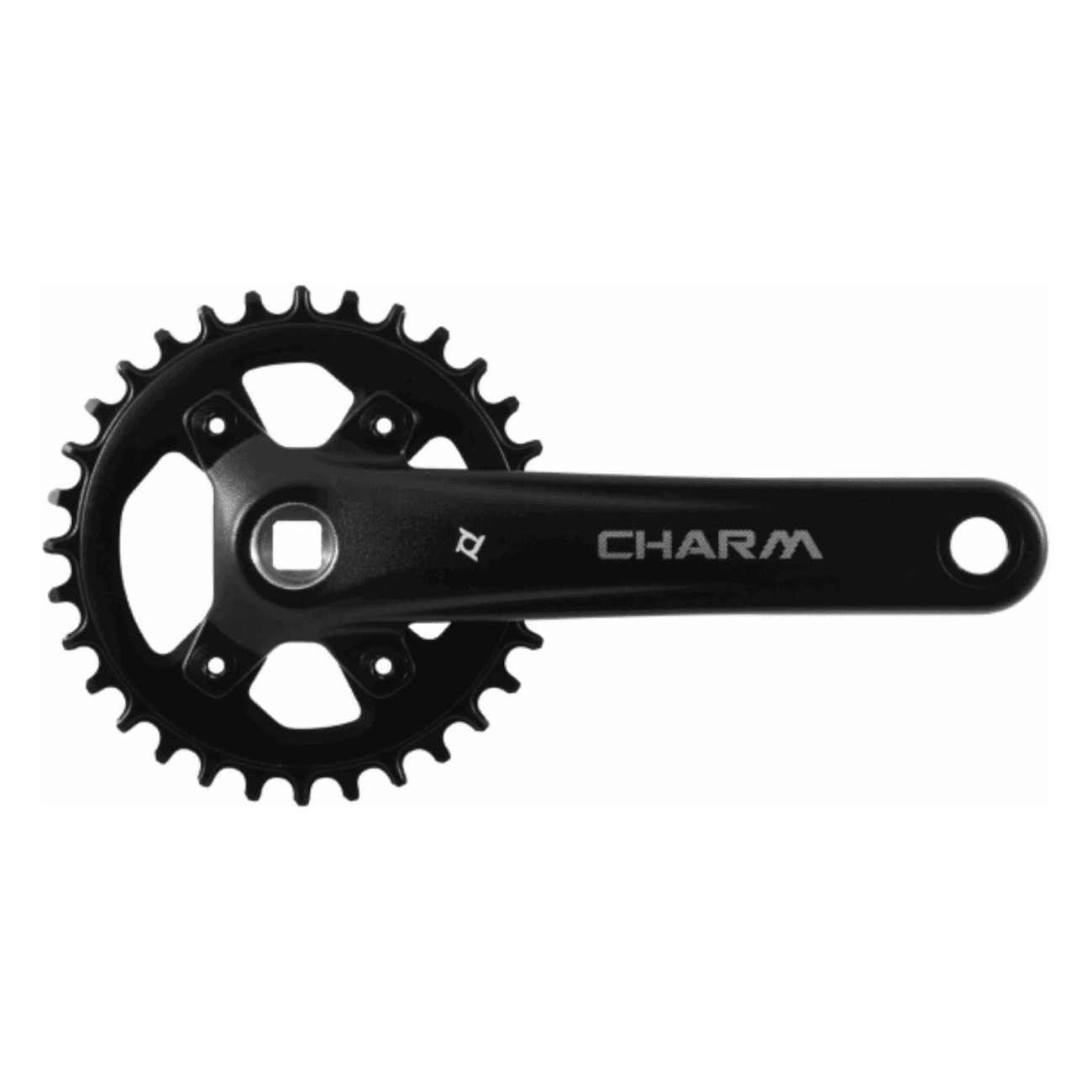 MTB Crankset 32T 170mm 10v in Aluminum and Steel, Black Color - 1