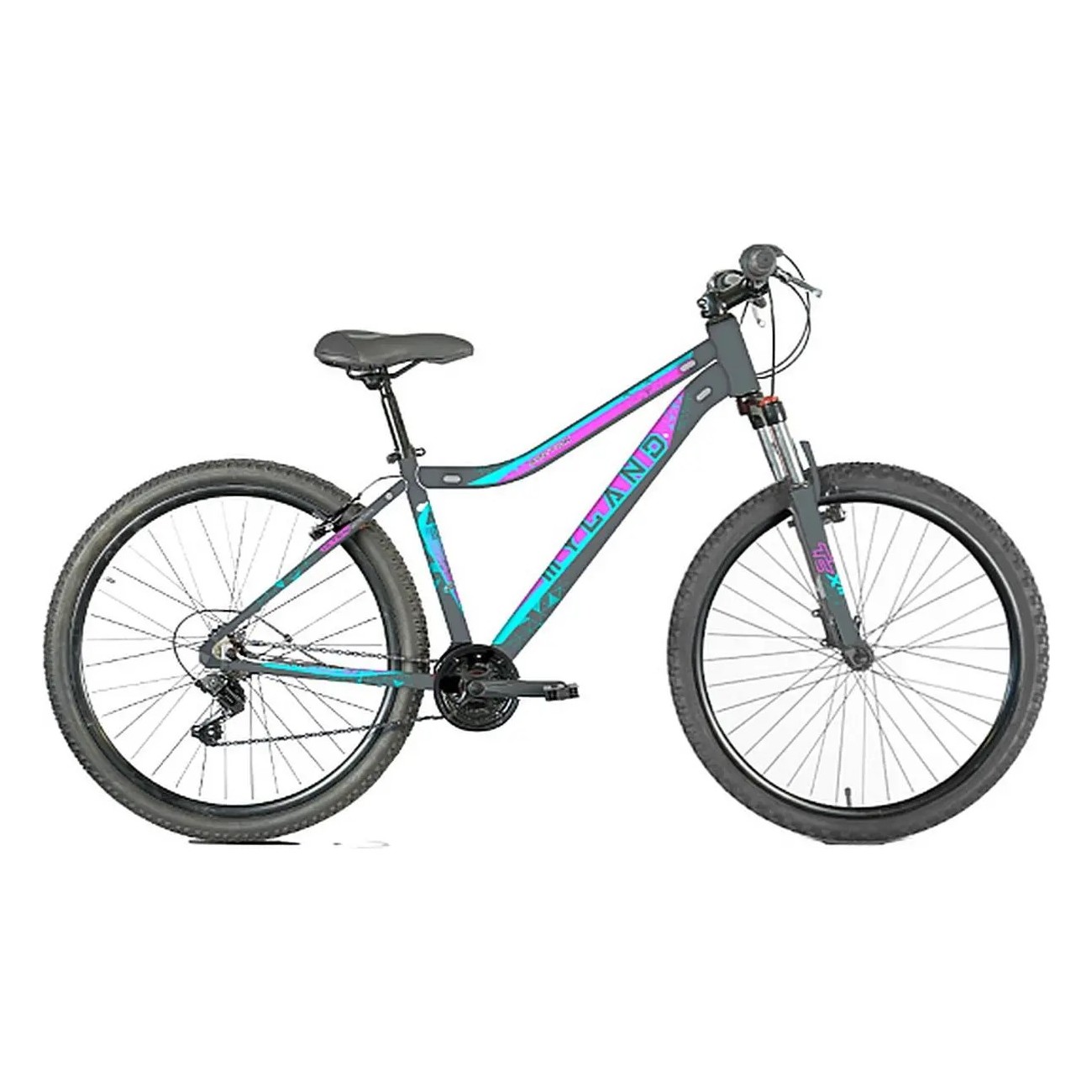 Vélo Active 24 Kid L Gris avec Dérailleur Shimano 6V et Freins V-Brake - 1