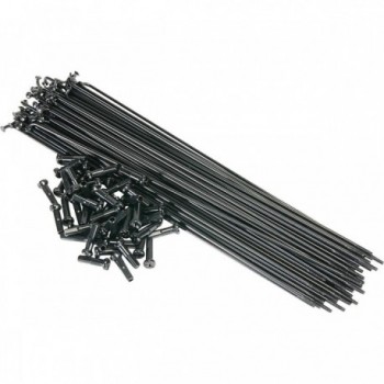 Raggi di Sale in Acciaio Inossidabile 188mm con Capezzoli Neri, Set 50pz - 1 - Raggi - 4250612897840