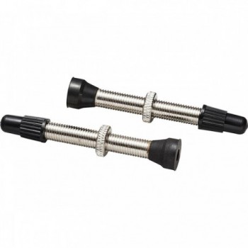 Set of 2 Brass Tubeless Presta Valves, 56 mm, Silver - 1