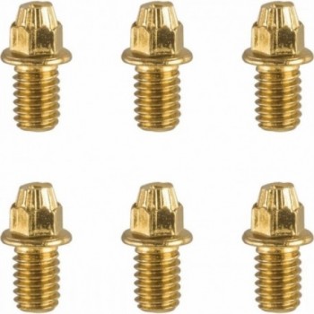 Ersatz-Pin-Set für Black Magic Gold Pedale - 32 Teile mit 2 Kappen und Inbusschlüssel - 1