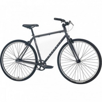 Fairdale Express S/M Bicycle Dunkelgrau - Comfort & Performance in Steel 1020 - 1