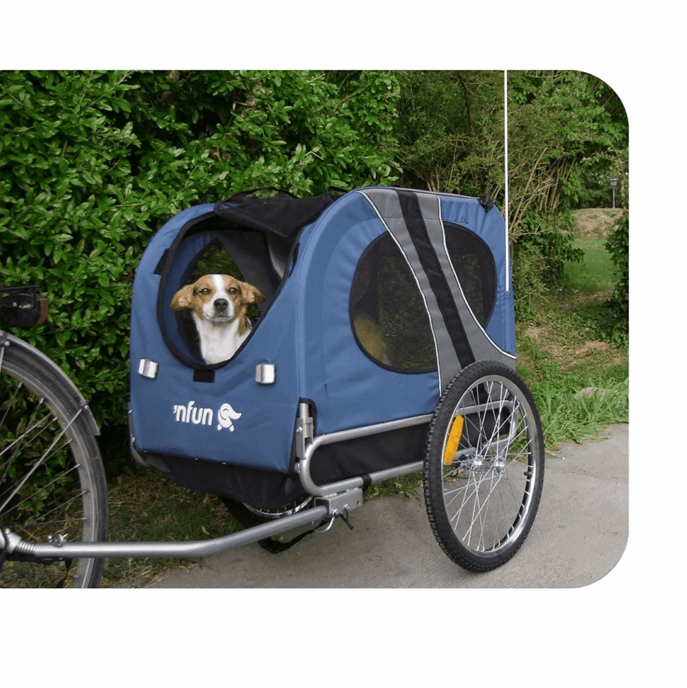 Carrello porta animali npet blu/grigio 20'