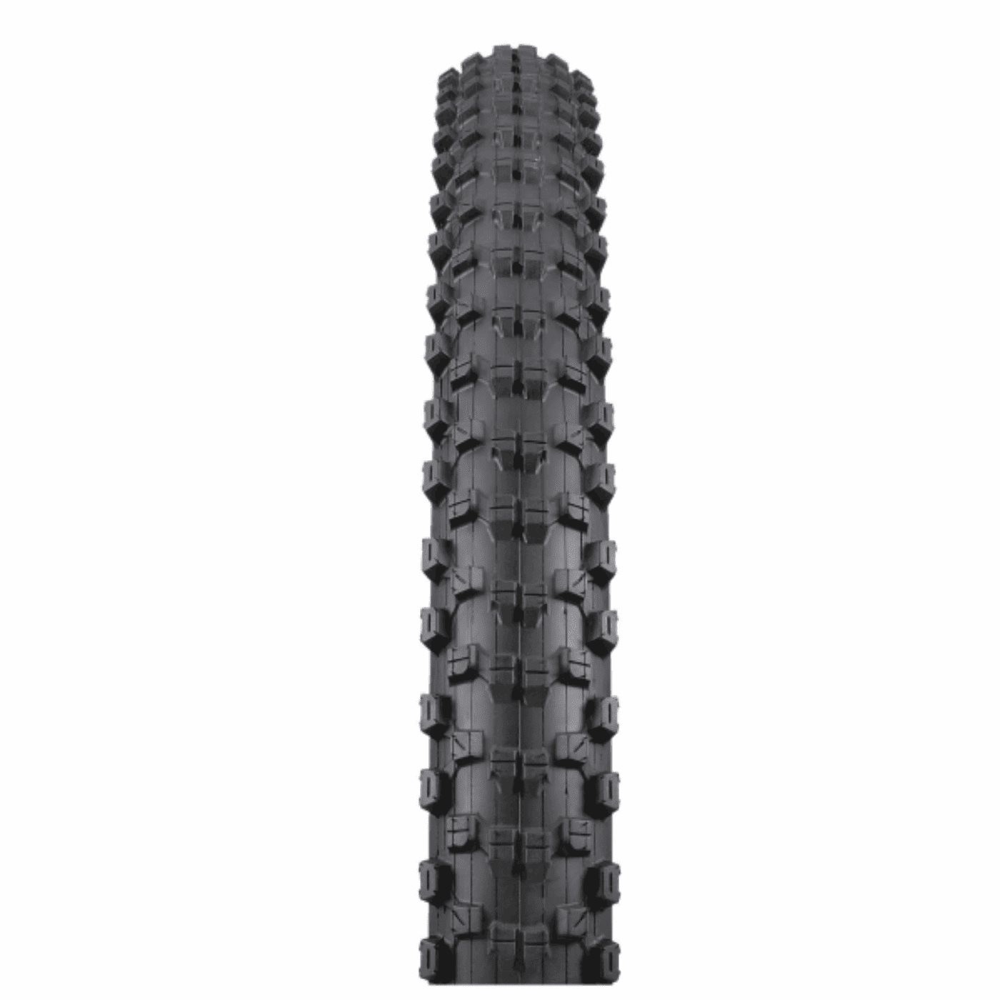 0047853623758 - MTB Reifen Nevegal 29x220 DTC 60 TPI Faltbar Schwarz - All Mountain K1010